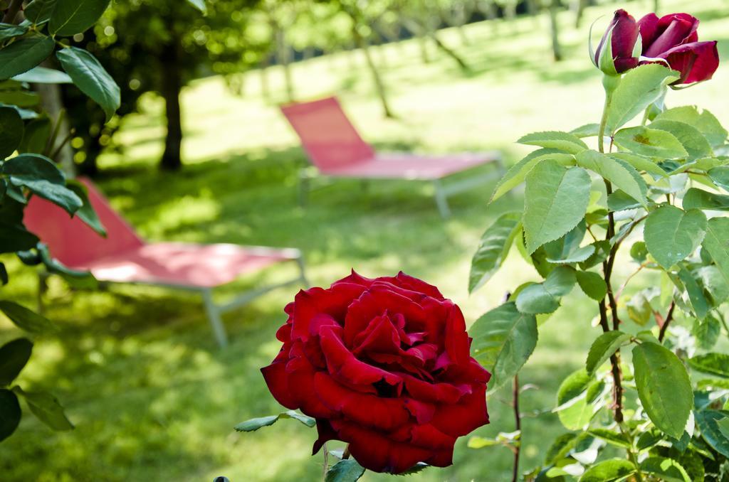 Pazo De Andeade Guest House Екстериор снимка